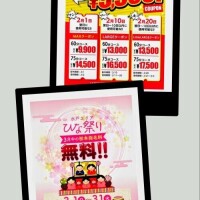 桔梗（ききょう）しおり