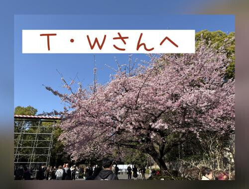 ☆コメント返信です☆