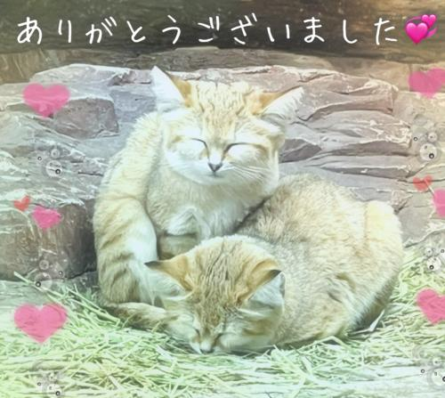 昨日のお礼です。