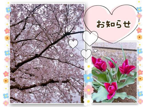 🌷お知らせ