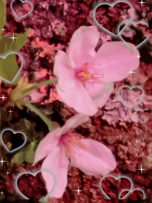 コメントありがとう♡