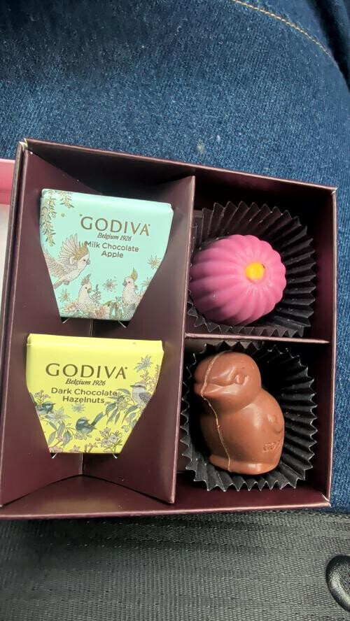 今日は撮影日📷️💐