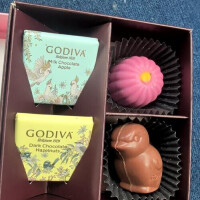 今日は撮影日📷️💐