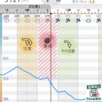 雨ですねー☔️