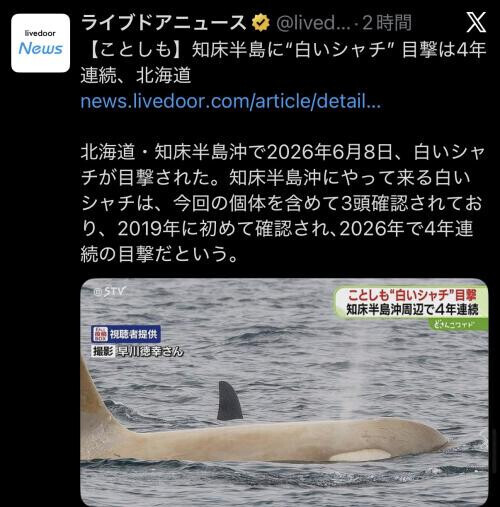 シャチ❤️LOVE