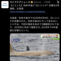 シャチ❤️LOVE