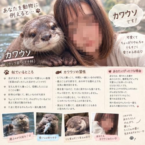 スケジュール変更のお知らせ