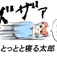 【急遽】m(_ _;)m【休み】