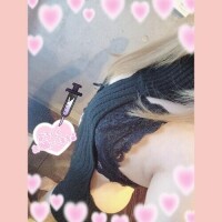 こんばんわ