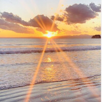 お久しぶりです。