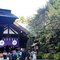 お休みの時のVlog