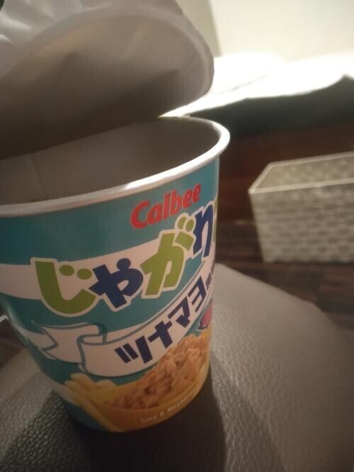 本日の