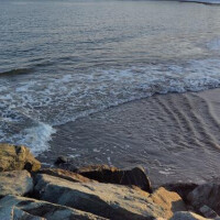 海は広いです