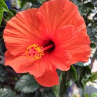 6/6のお礼🌻