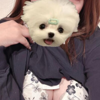 土晩だよ！遊ぼっ