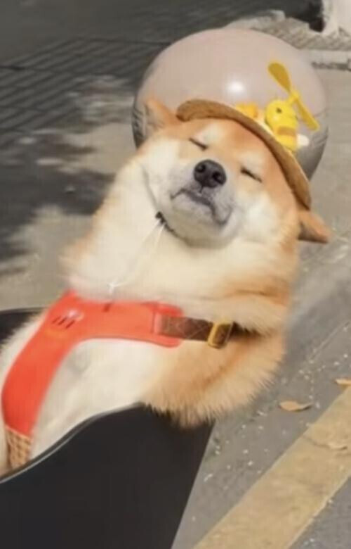 お久しぶりです！