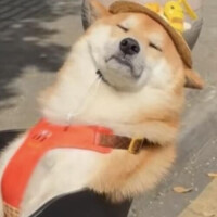 お久しぶりです！