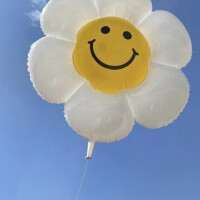 ひな
