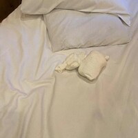 新谷あきら