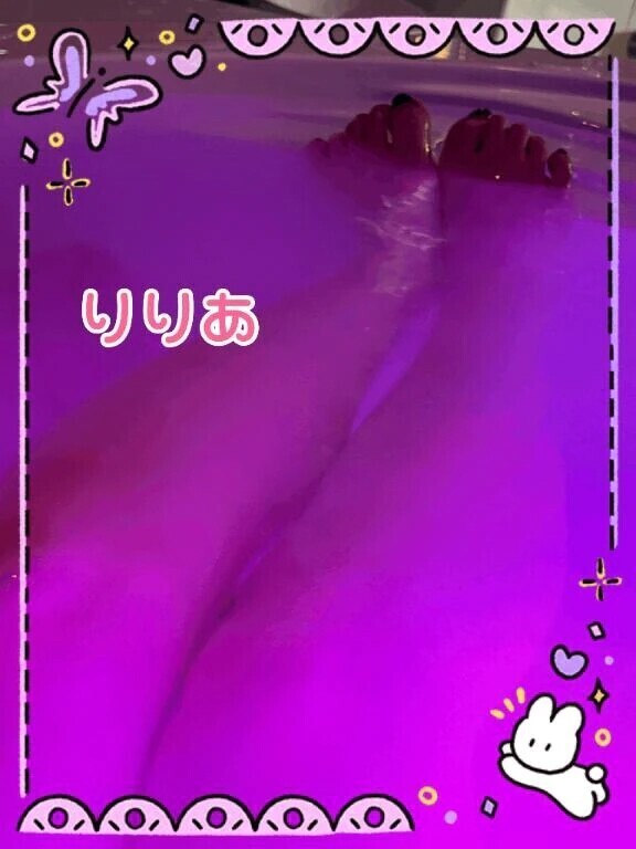 本日の予定