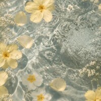 お仕事やめます。お元気で。