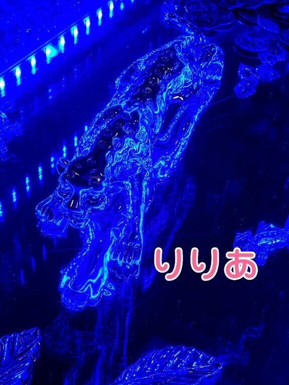 ご本指のY君