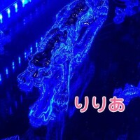 ご本指のY君