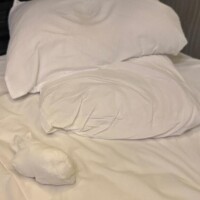 新谷あきら