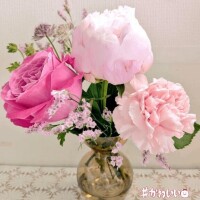 明日出勤します！