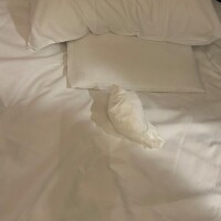 新谷あきら