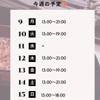 白野えいな