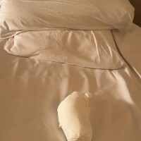新谷あきら