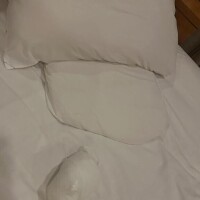 新谷あきら