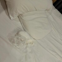 5/29 Sくん☆