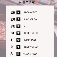 白野えいな