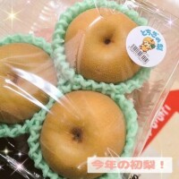 辻倉れいこ
