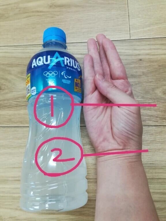 フィスト
