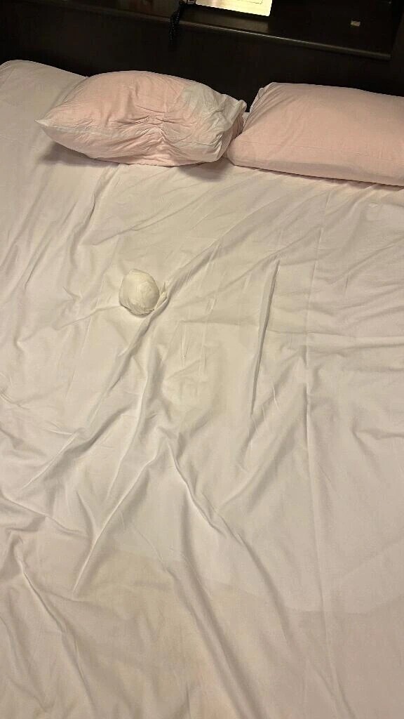 7/16 ちんぽ先生☆