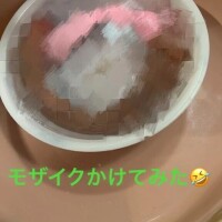 口コミお礼日記　日曜のO様　成田レモン