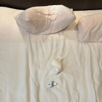 9/9 ちんぽ先生☆