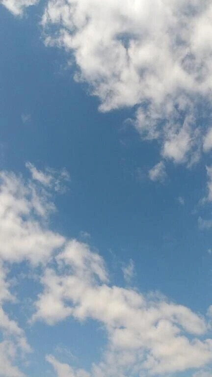 今年もよろしくお願いします