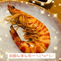 出勤しました2026