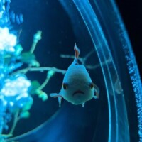 口コミお礼日記　ご新規C様100分