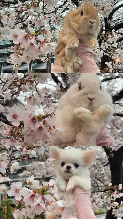 珍しく平日出勤❕