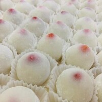 春のおっぱい祭り！！！