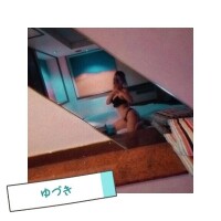 新しい環境でも、ここでは力抜いていいから