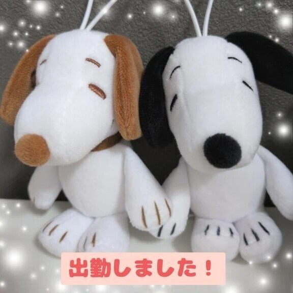 出勤しましたー！