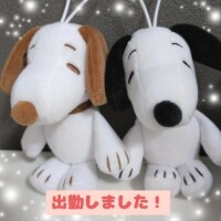 出勤しましたー！