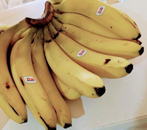 写  クレスト   F君