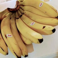 写  クレスト   F君